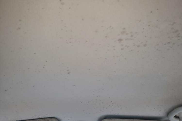Used Peugeot 408 2011 2.0L Automatic Comfort Edition Headliner