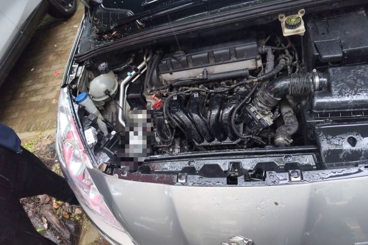Used Peugeot 408 2013 2.0L Manual Comfort Edition Engine Bay Right