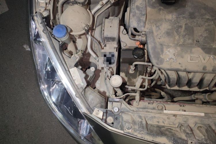 Used Peugeot 408 2013 2.0L Manual Comfort Edition Engine Bay Right