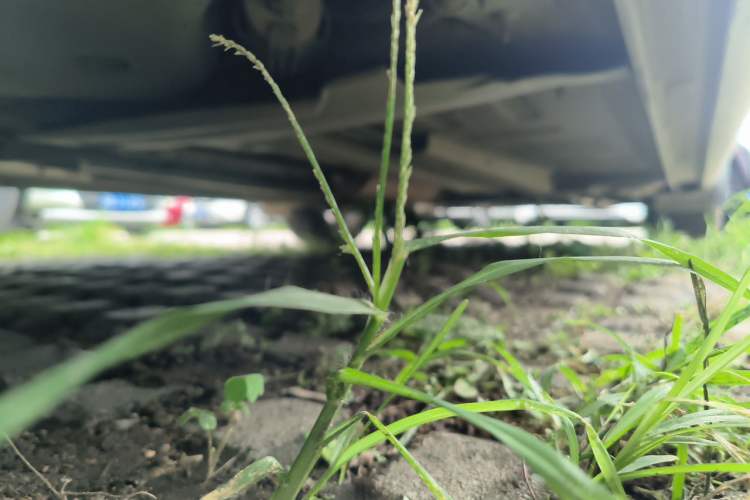 Used Peugeot 408 2013 2.0L Connected Car Luxury Edition Chassis Rear Right