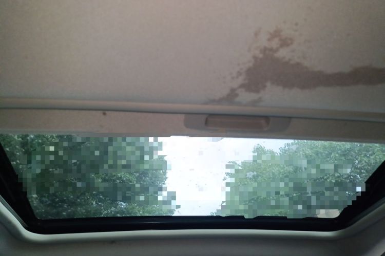 Used Peugeot 408 2013 2.0L Automatic Luxury Edition Headliner