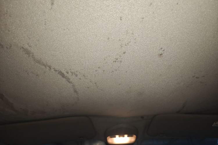 Used Peugeot 408 2013 2.0L Automatic Comfort Edition Headliner