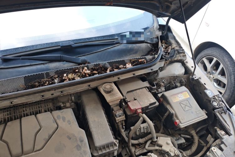Used Peugeot 408 2014 1.8L Manual Leading Edition Engine Bay Left