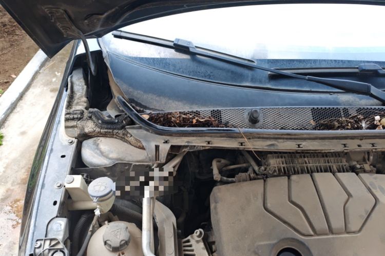 Used Peugeot 408 2014 1.8L Manual Leading Edition Engine Bay Right