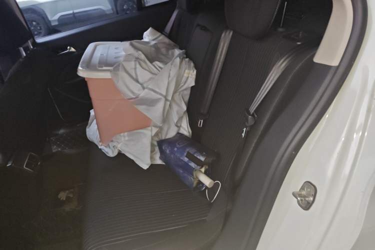 Used Peugeot 408 2018 350THP Automatic Luxury Edition Left Rear Seat