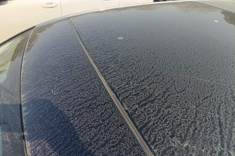 Used Peugeot 408X 2023 Gravity Edition Roof