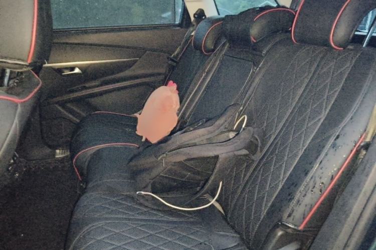 Used Peugeot 5008 2017 350THP 7-Seater Elite Edition Left Rear Seat