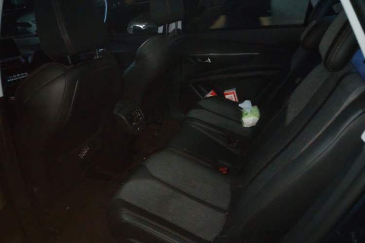 Used Peugeot 5008 2017 380THP 7-Seater Elite Edition Left Rear Seat