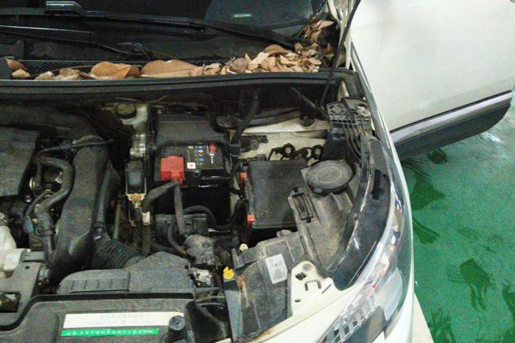 Used Peugeot 5008 2017 350THP 5-Seat Elite Edition Engine Bay Left