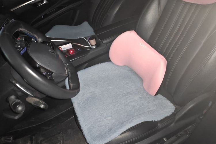 Used Peugeot 5008 2017 380THP 7-Seater Boundary-Free Edition Left Front Seat