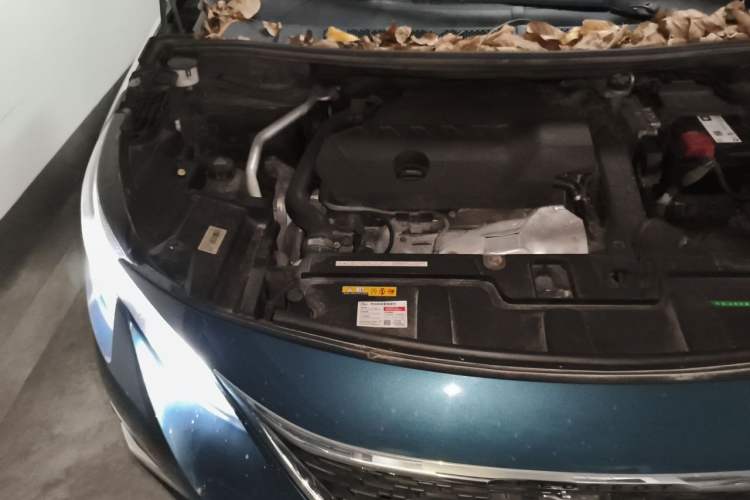 Used Peugeot 5008 2019 400THP 7-Seater Flagship GT Edition Engine Bay Right