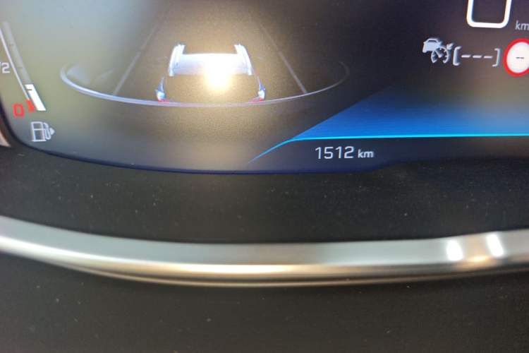 Used Peugeot 5008 2025 Flagship Edition Odometer Close Up