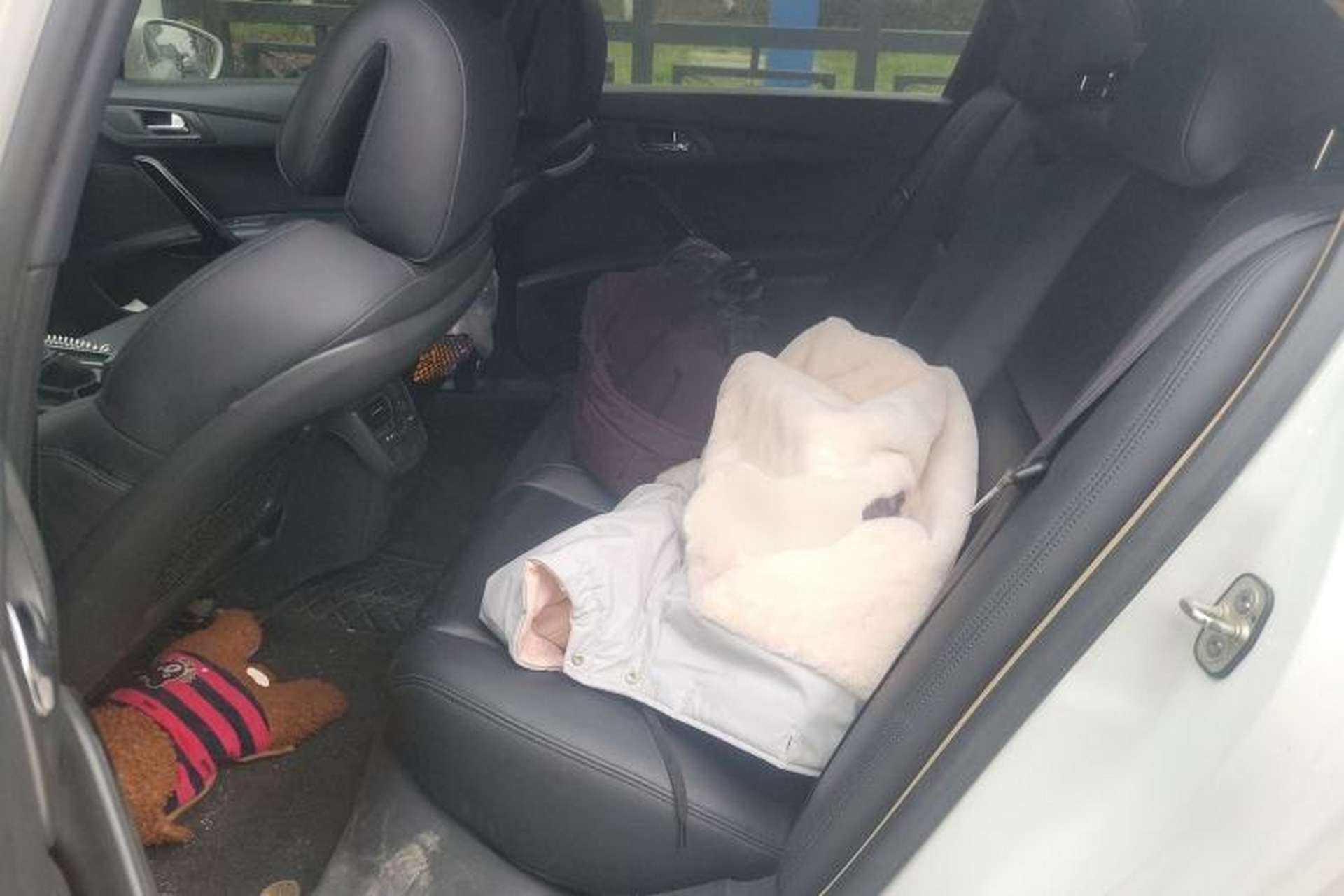 Used Peugeot 508 2011 2.0L Manual Classic Edition Left Rear Seat