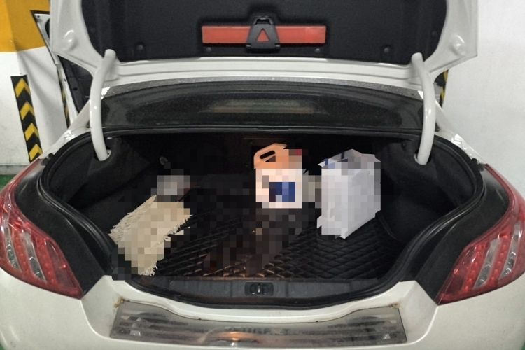 Used Peugeot 508 2012 2.0L Automatic Luxury Edition Trunk