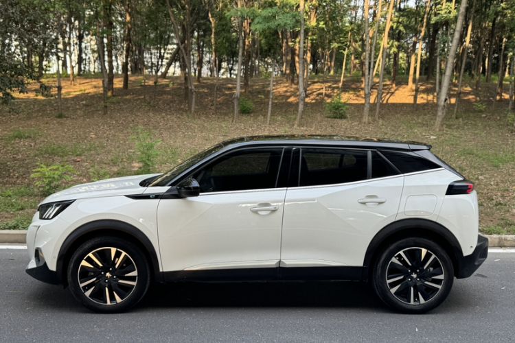 Used Peugeot e2008 2020 3D ZhenShang Edition Exterior 3