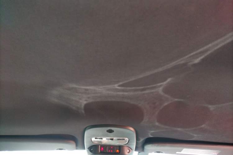 Used Peugeot RCZ 2011 1.6T Fashion Edition Headliner