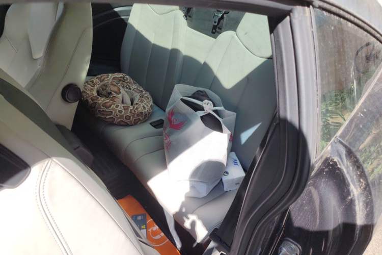 Used Peugeot RCZ 2011 1.6T Luxury Sport Model Left Rear Seat