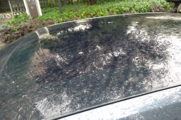 Used Polestar 2 2020 First Edition Roof