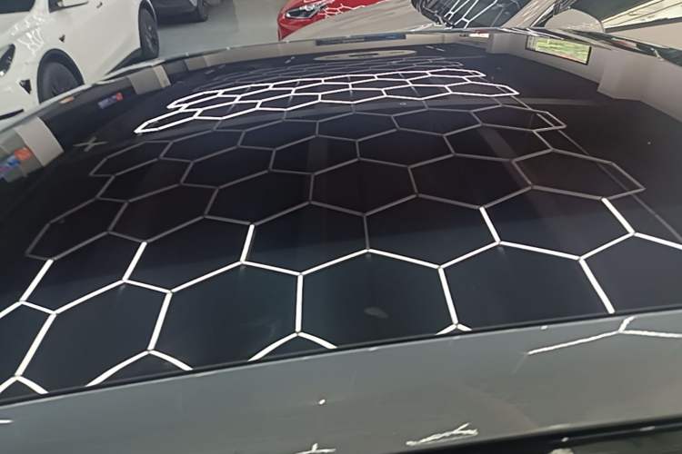 Used Polestar 2 2020 First Edition Roof