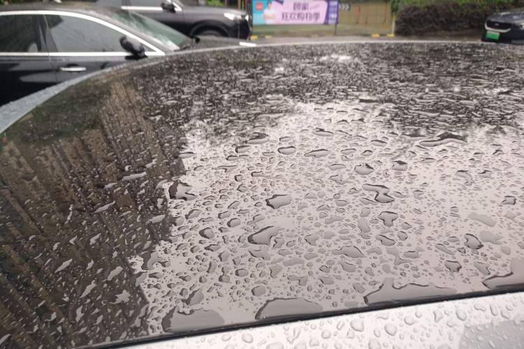Used Polestar 2 2020 First Edition Roof