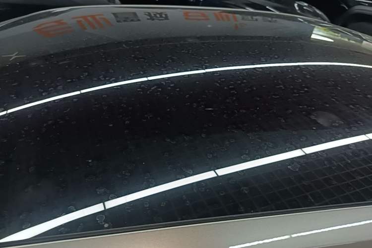 Used Polestar 2 2020 First Edition Roof