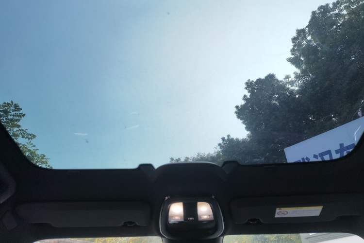 Used Polestar 2 2020 First Edition Headliner