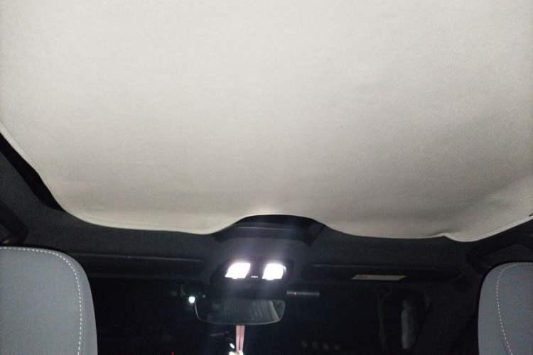 Used Polestar 2 2020 First Edition Headliner