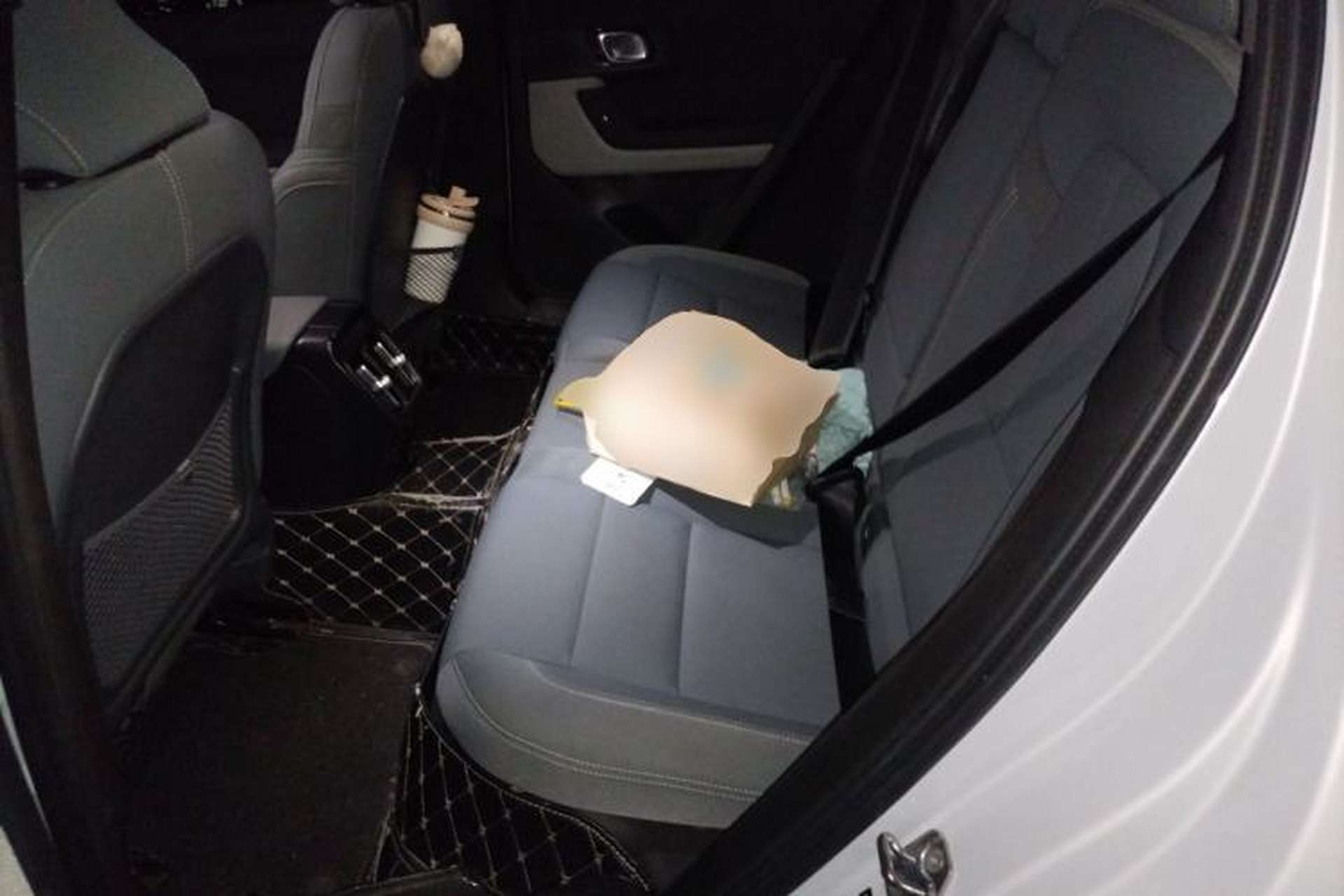 Used Polestar 2 2020 First Edition Left Rear Seat