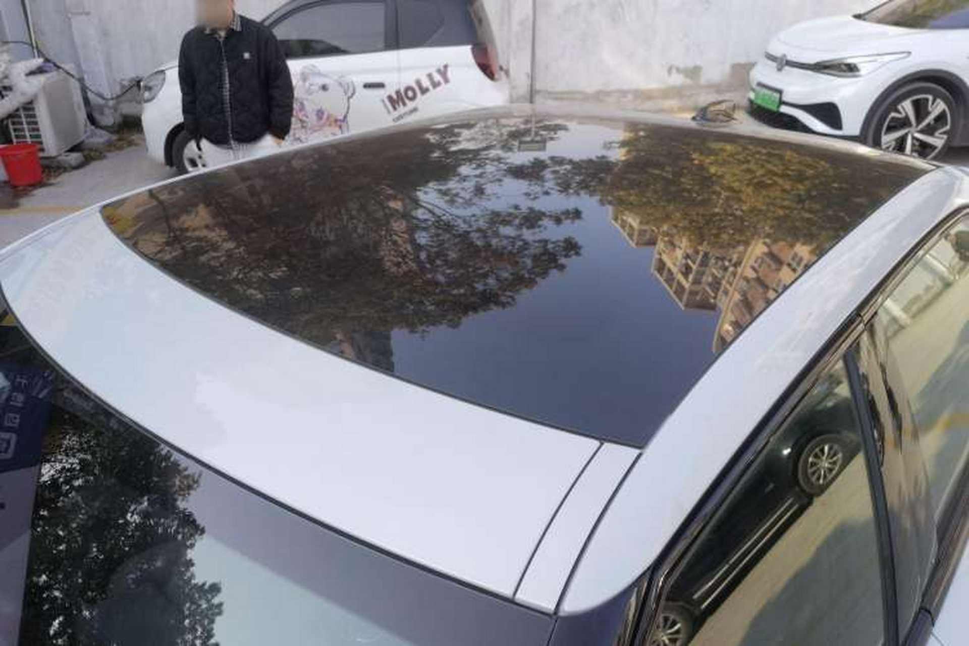 Used Polestar 2 2020 First Edition Roof