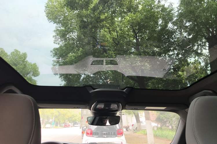 Used Polestar 2 2020 First Edition Headliner