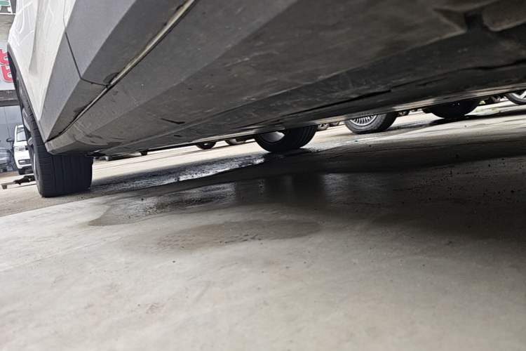Used Polestar 2 2020 First Edition Left Side Sill