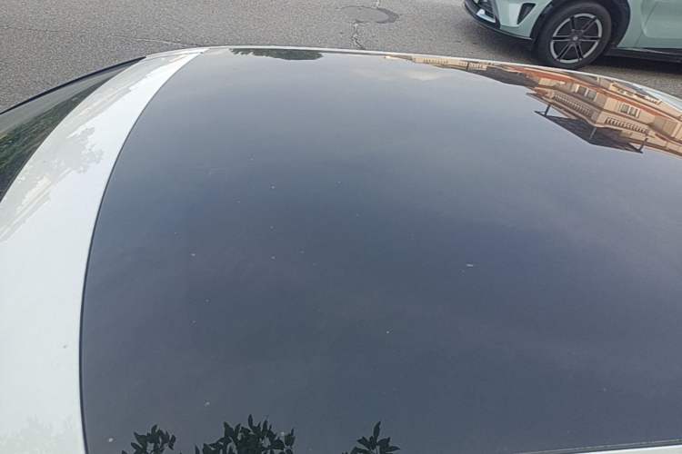 Used Polestar 2 2020 First Edition Roof