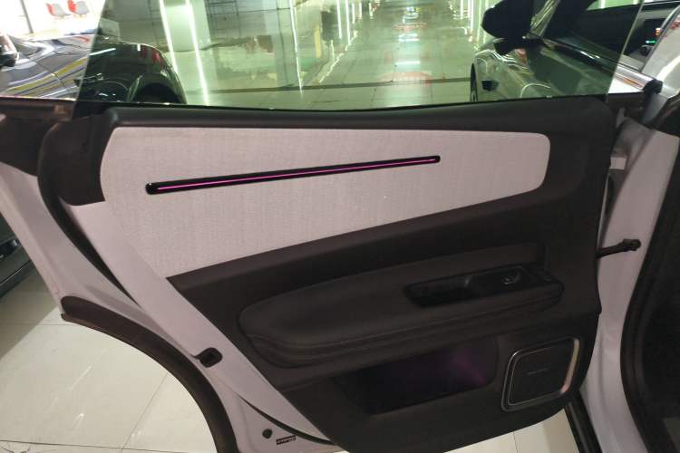 Used Polestar 4 2023 Single Motor Standard Range PLUS Left Rear Door Interior