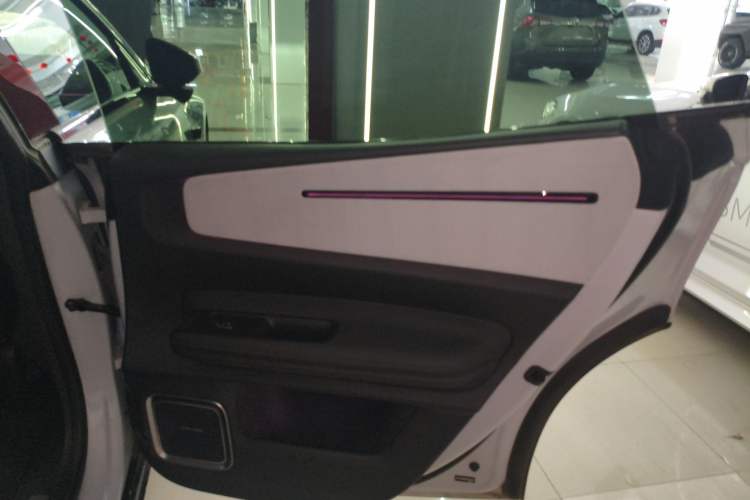 Used Polestar 4 2023 Single Motor Standard Range PLUS Right Rear Door Interior