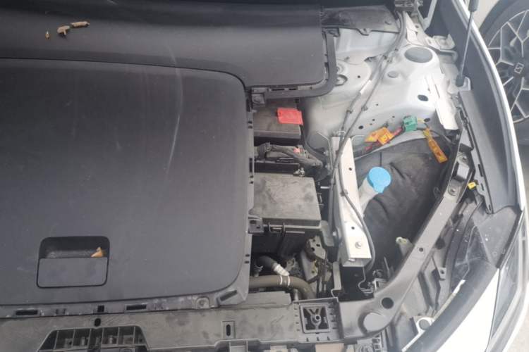 Used Polestar 4 2024 Single-Motor Standard Range PLUS Dual-Star Connectivity Edition Engine Bay Left