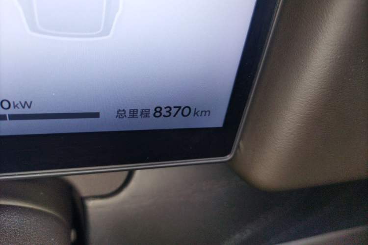 Used Polestones 01 2023 Deluxe 6-Seater Version Odometer Close Up