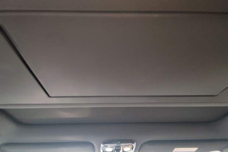Used Polestones 01 2023 Deluxe 6-Seater Version Headliner