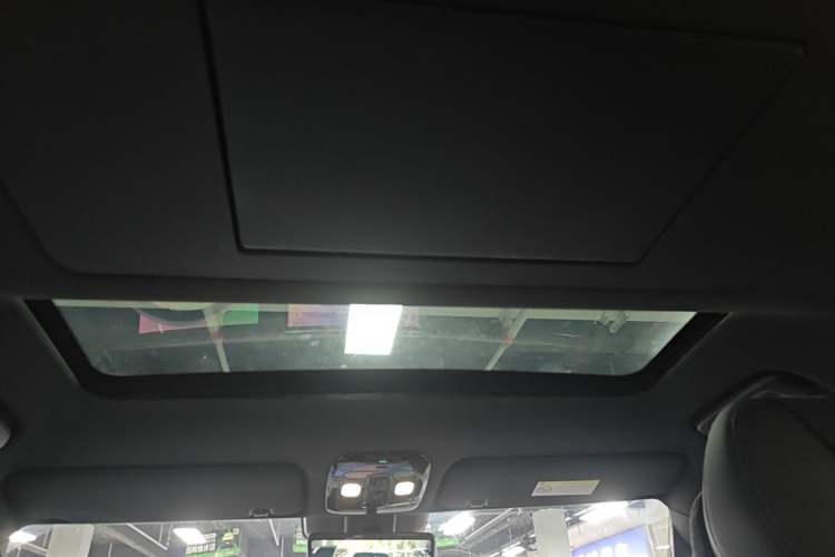 Used Polestones 01 2024 Deluxe 6-Seater Standard Range Version Headliner