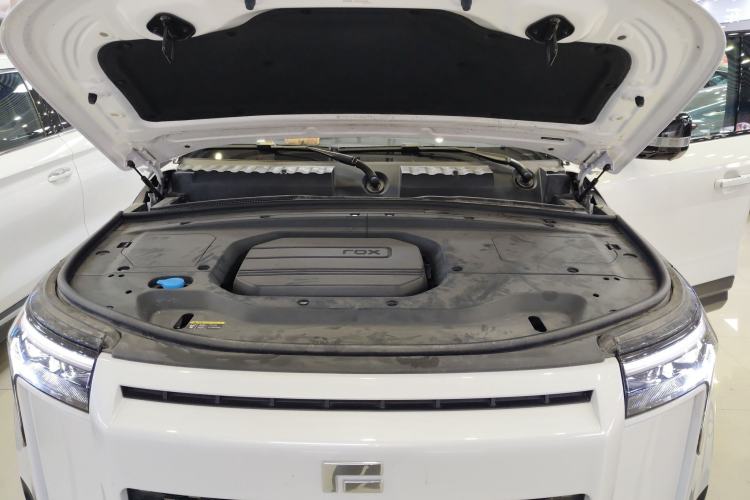 Used Polestones 01 2024 Deluxe 6-Seater Standard Range Version Engine Bay