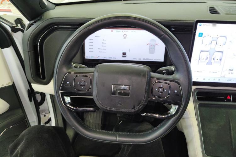 Used Polestones 01 2024 Deluxe 6-Seater Standard Range Version Steering Wheel