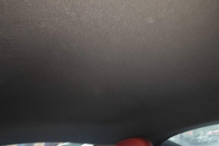 Used Porsche 718 2018 Cayman 2.0T Headliner
