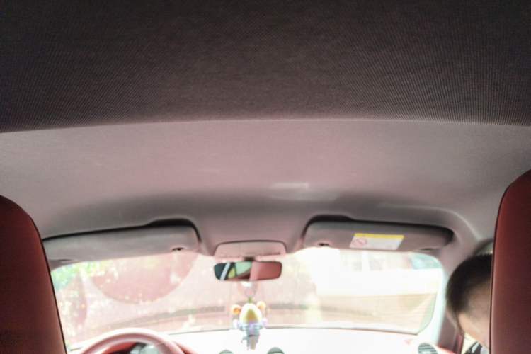 Used Porsche 718 2020 Cayman 2.0T Headliner