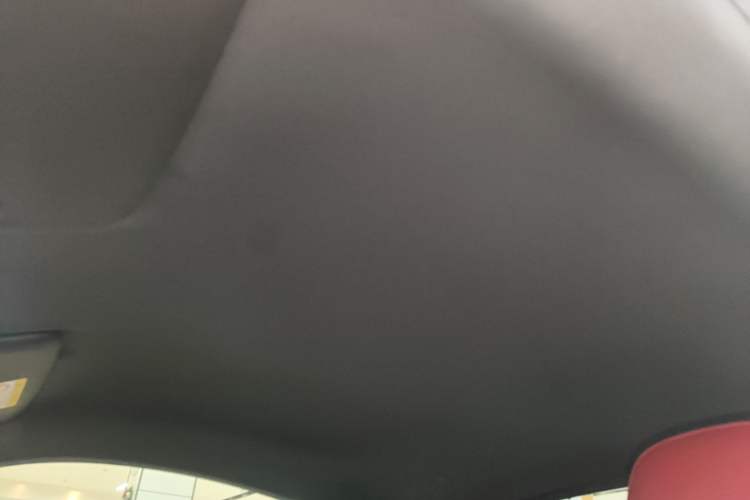 Used Porsche 718 2020 Cayman 2.0T Headliner