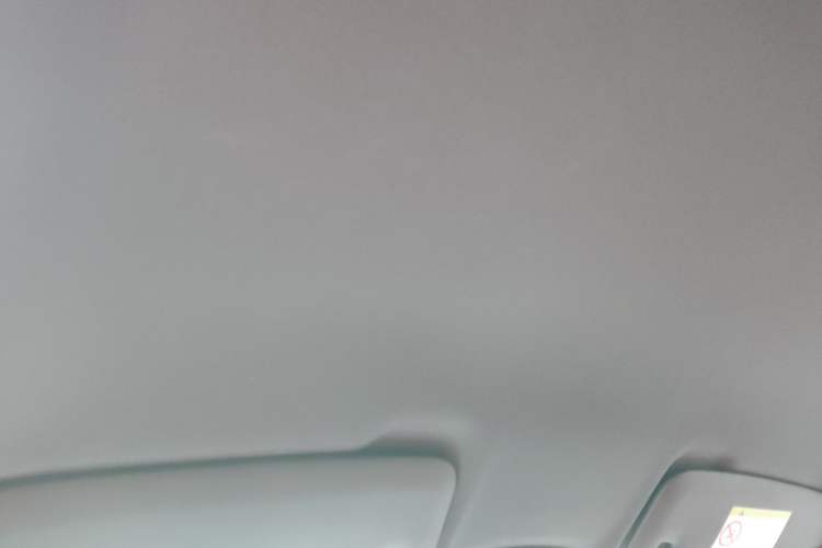 Used Porsche 718 2020 Cayman 2.0T Headliner