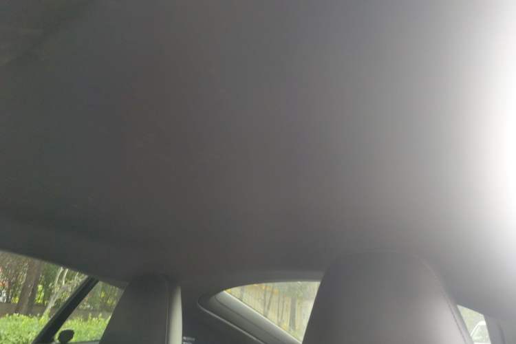 Used Porsche 718 2020 Cayman 2.0T Headliner
