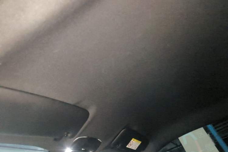 Used Porsche 718 2020 Cayman 2.0T Headliner