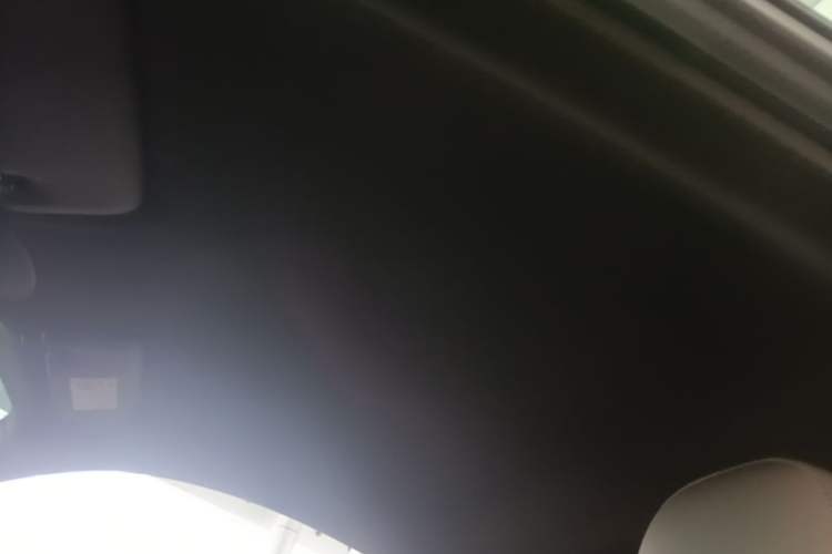 Used Porsche 718 2022 Cayman 2.0T Headliner