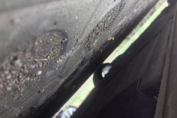 Used Porsche 718 2022 Cayman 2.0T Chassis Rear Left