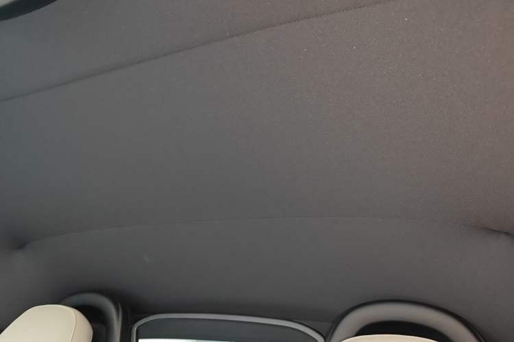 Used Porsche 718 2022 Boxster 2.0T Headliner