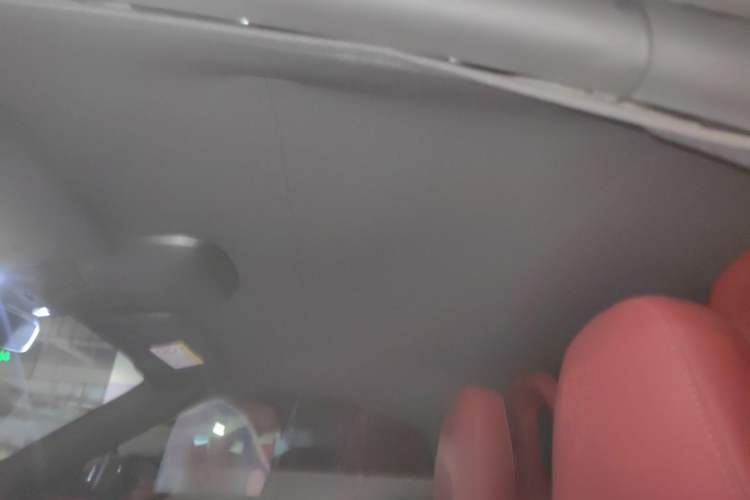 Used Porsche 718 2022 Boxster 2.0T Headliner